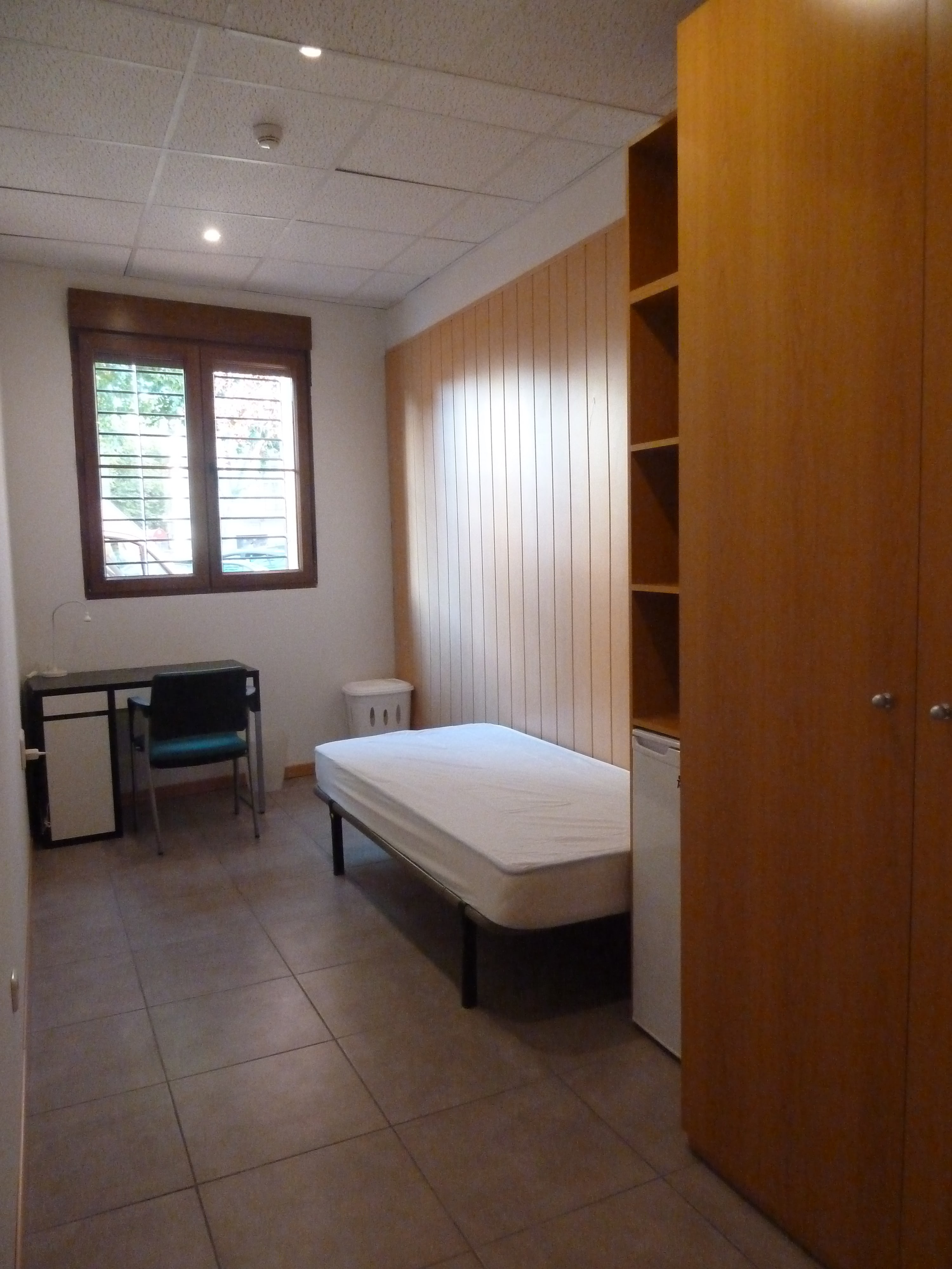 standard single rooms